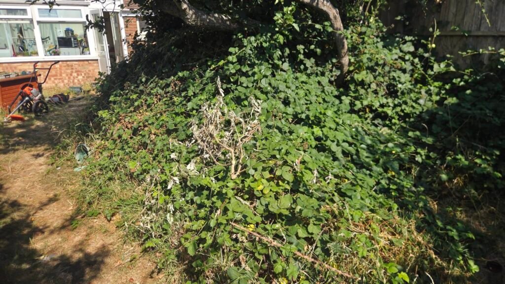 Garden Clearances Gosport Fareham Leeon solent hillhead & Stubbington