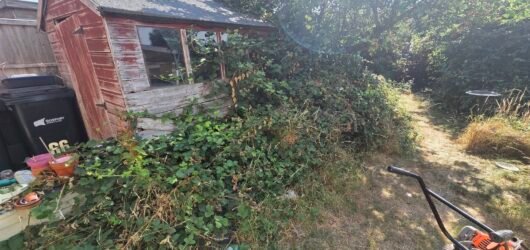 Garden Clearances, Gosport & Fareham