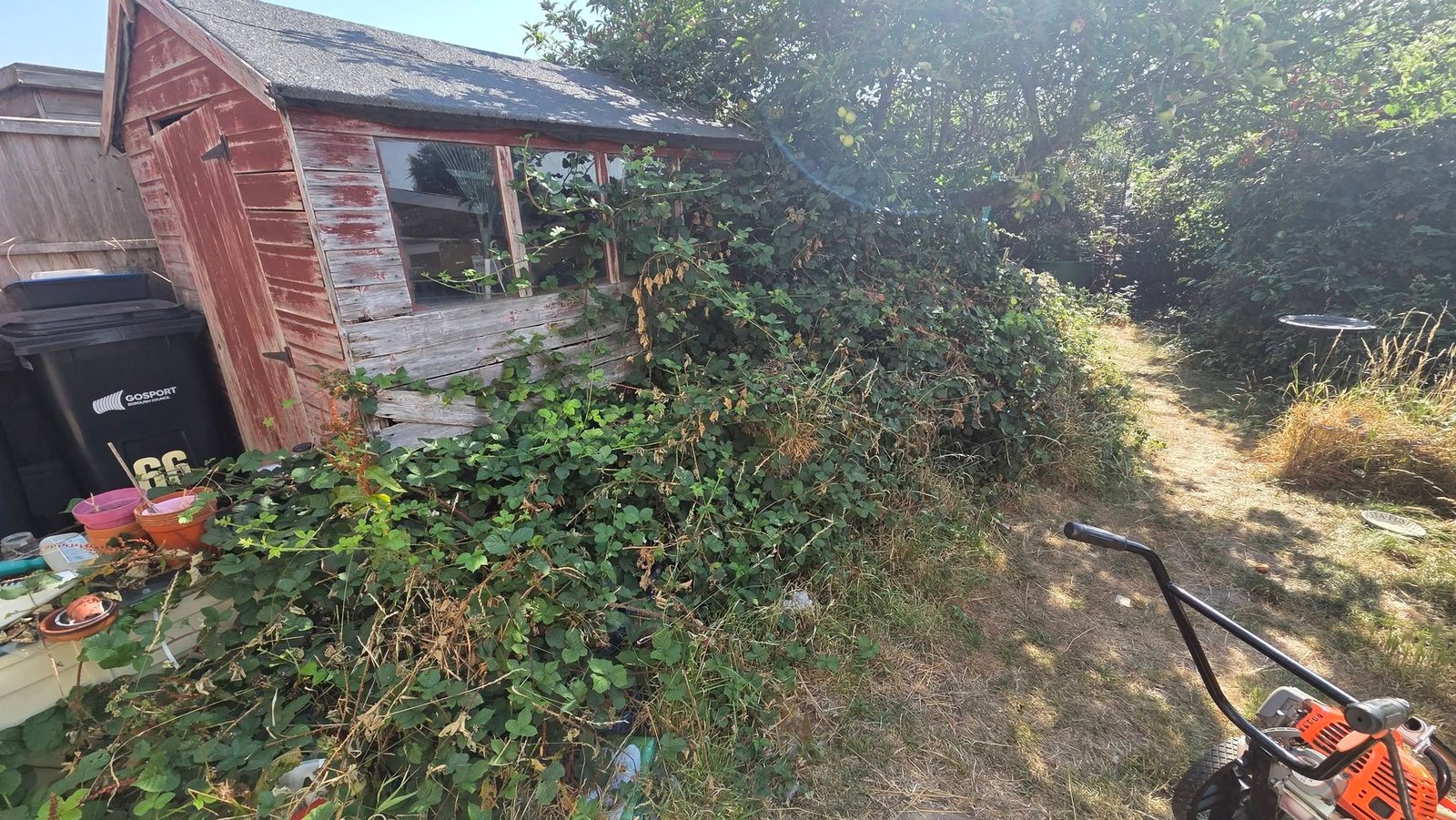 Garden Clearances, Gosport & Fareham
