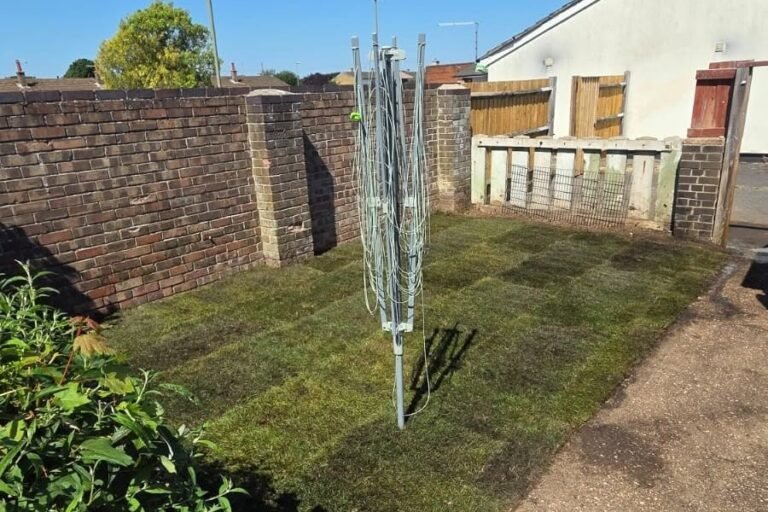 Tree removal Gosport Fareham Leeo n solent hillhead & Stubbington