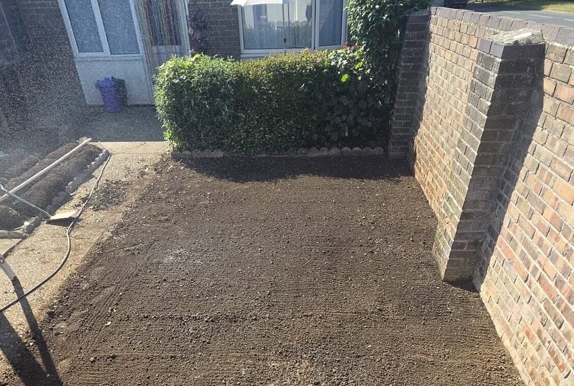 Tree removal Gosport Fareham Leeo n solent hillhead & Stubbington
